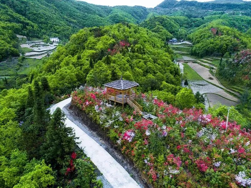 快乐不打烊！宜昌这些地方景美人少还免费！