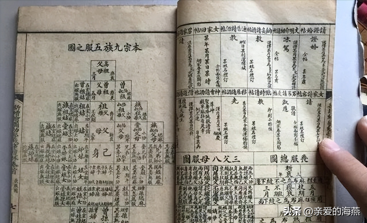 怎么算才是出了五服(fu)（亲戚五服对照表）-大连信息网