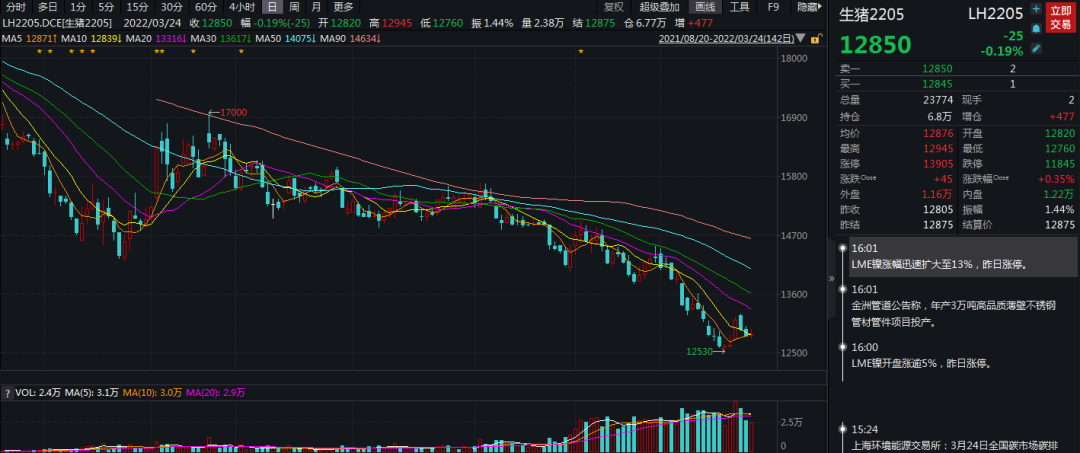 牛钱生猪日报2022.3.24