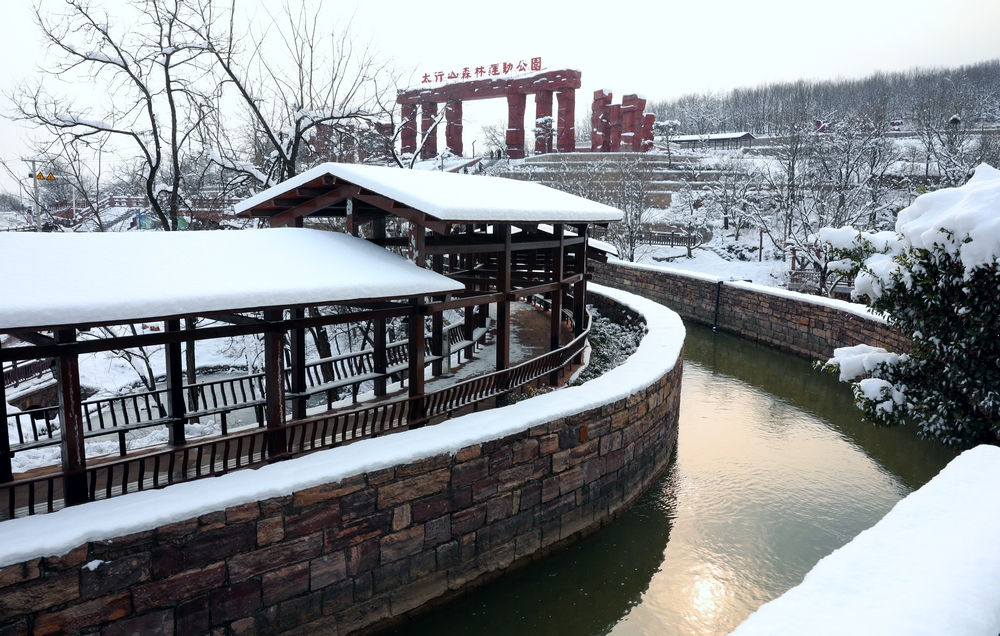 雪后的太行山森林运动公园，飞雪轻舞，翠竹炊烟，素净而艳丽