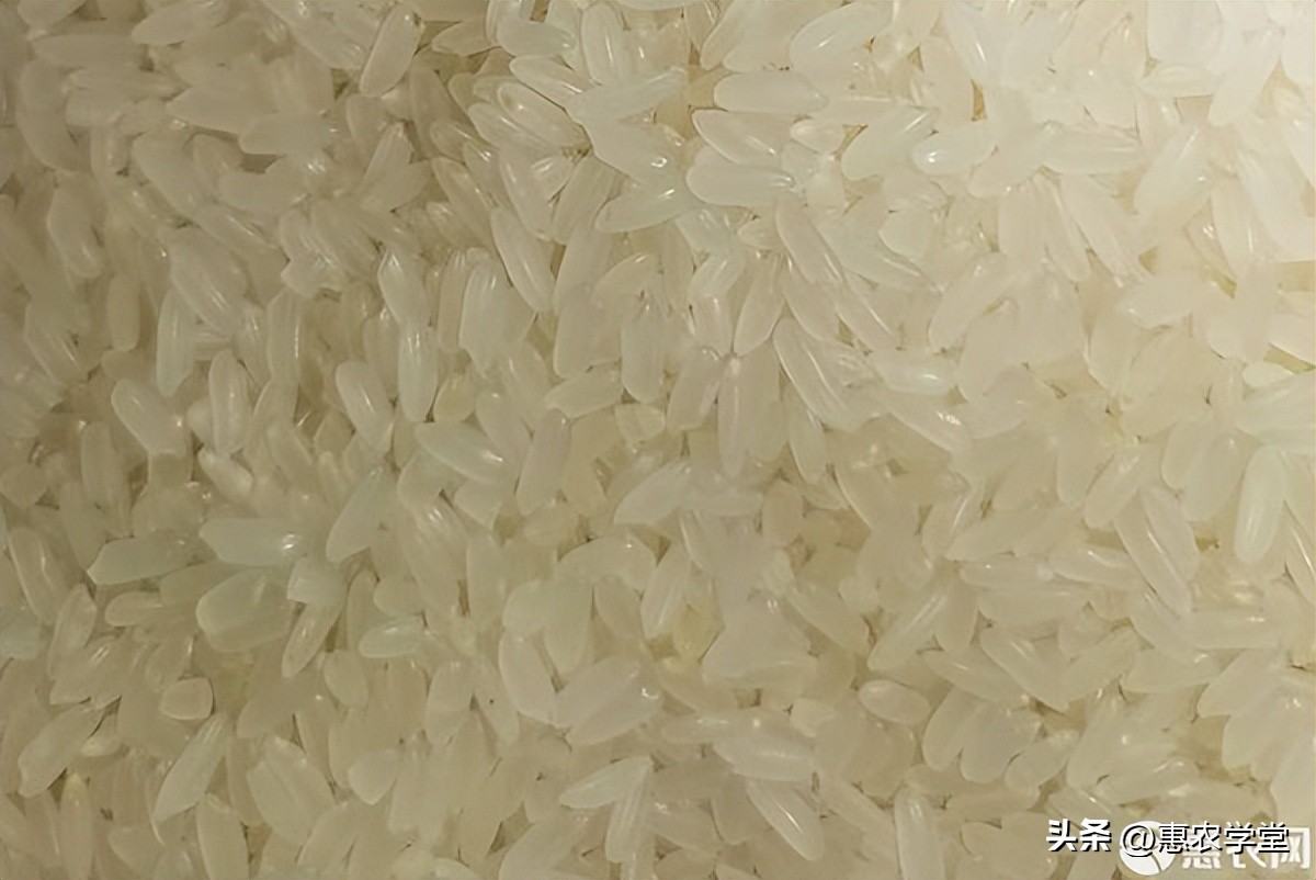 2023年1月份大米价格多少钱一斤？怎么挑选优质大米？