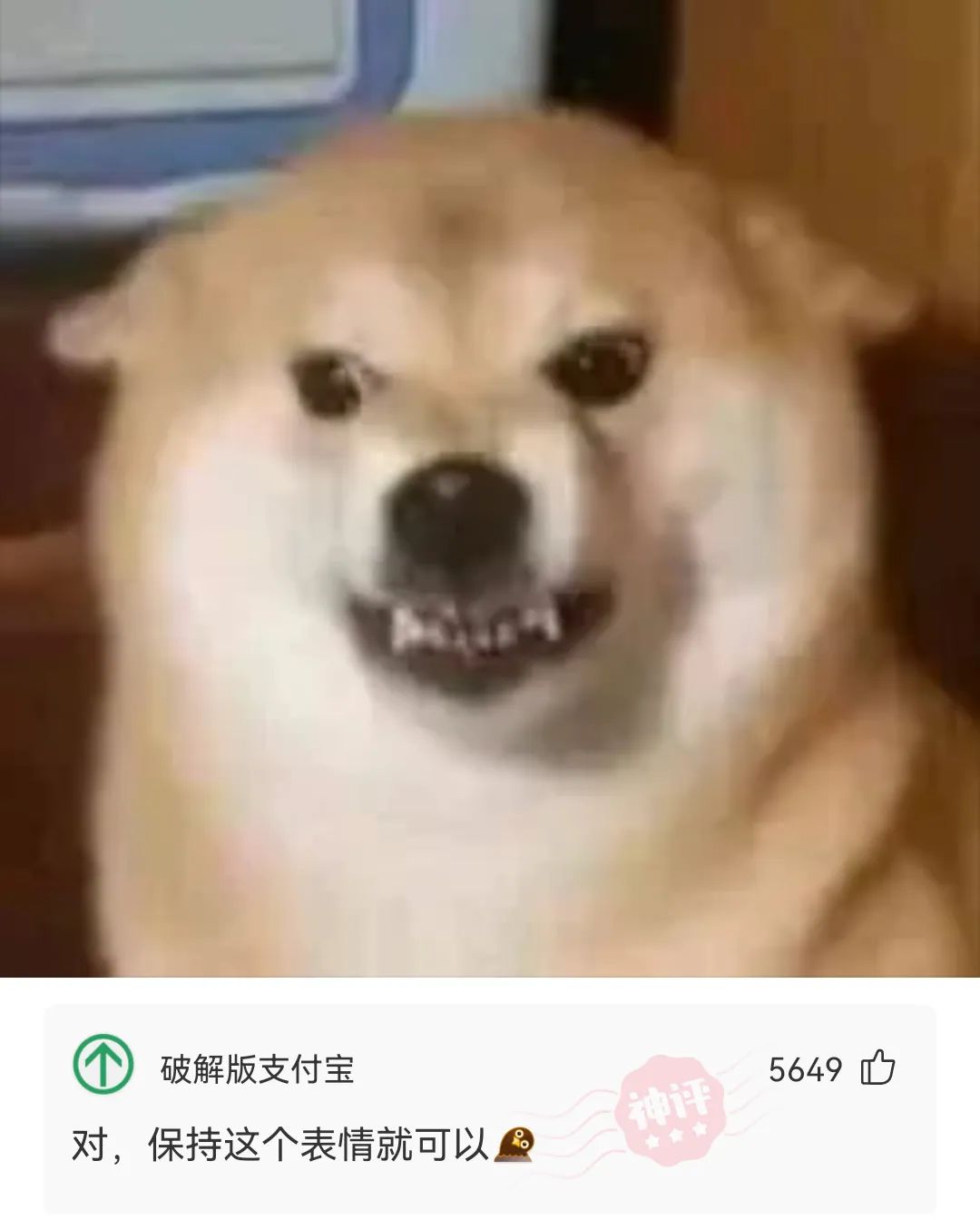 世界杯为什么没中国神回复（神回复：每个国家参与世界杯的方式不一样）