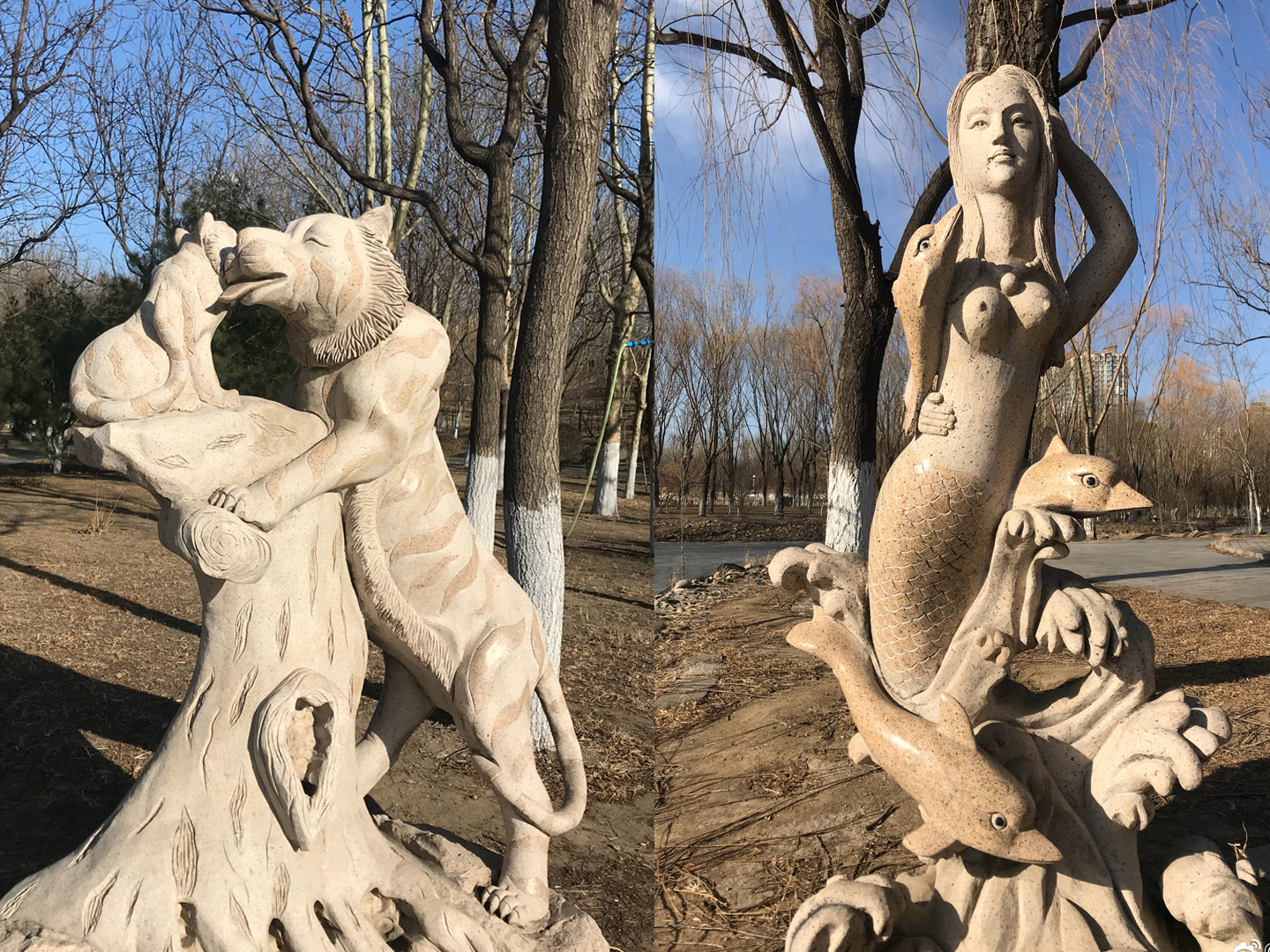 奧林匹克公園高檔小區（北京五環邊的寶藏公園，比奧森人少，能搭帳篷能玩水）
