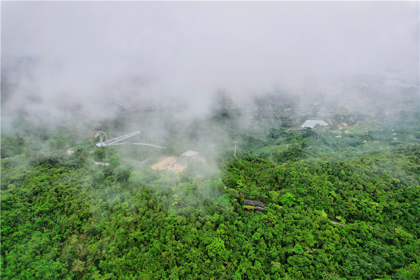 自驾海南，探寻雨林秘境，黎族村落到茶园深处，4天3晚游玩全攻略