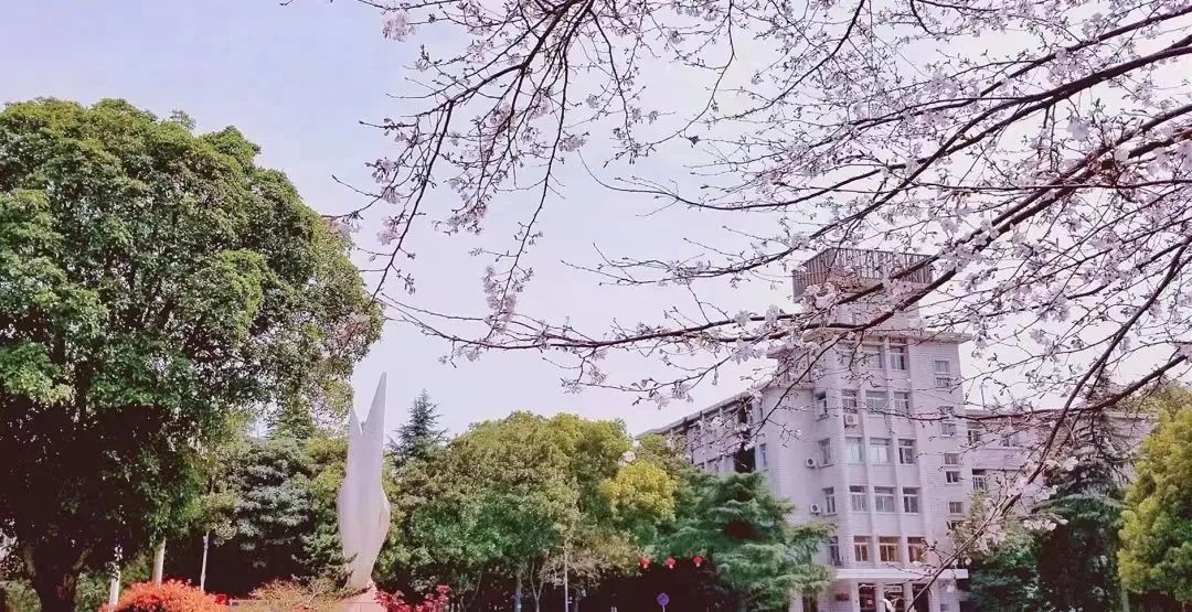 长江大学2022年普通本科招生章程