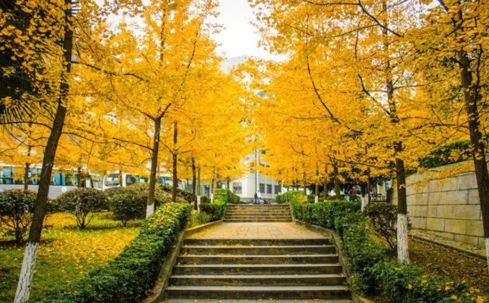 四川省高校金字塔已出炉，第一梯队实力不俗，成都理工表现亮眼