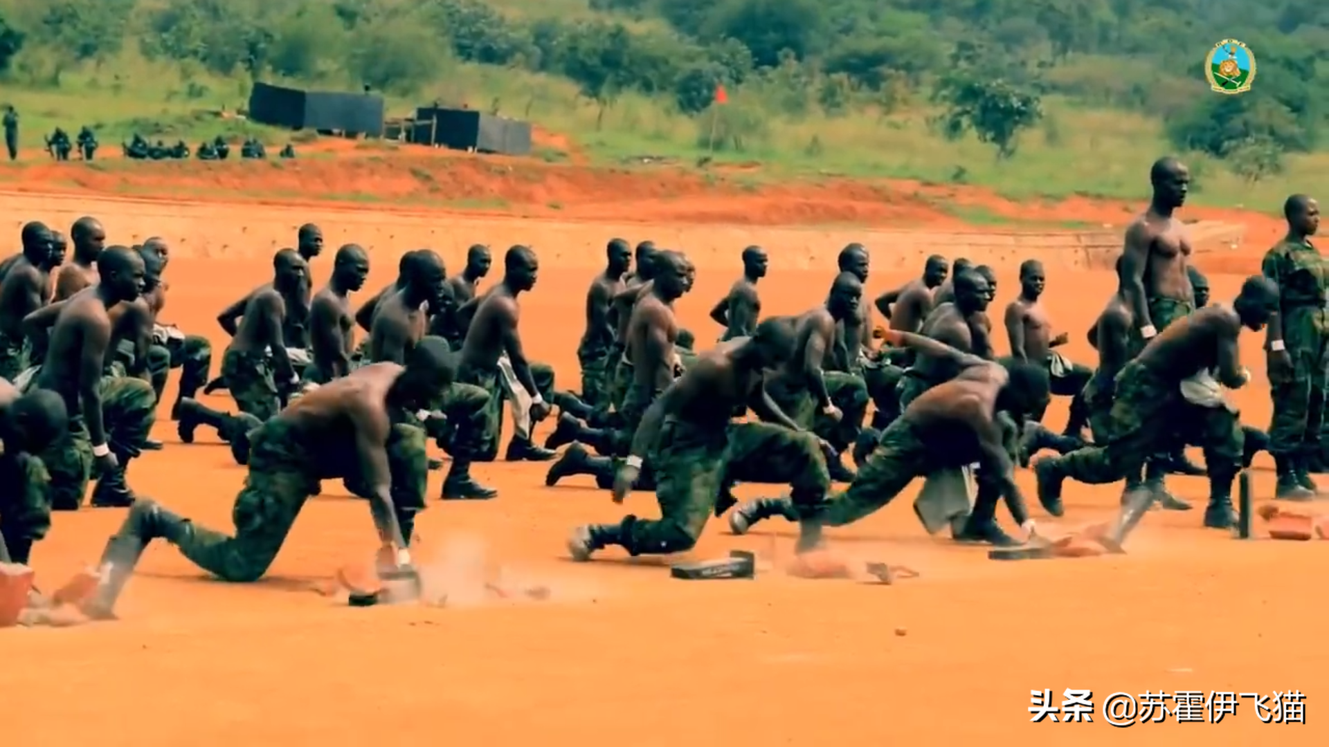 ¬�����ʦ�ˣ�������ѵ��������ʶ������ǹ������������ѧ����