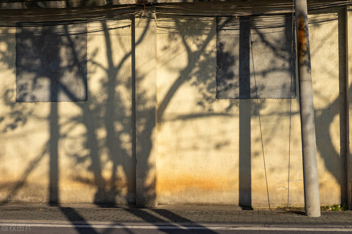 或许这就是普通人才有的快乐