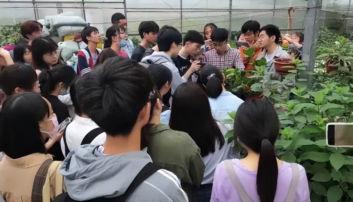 逐渐冷清的985高校，从人声鼎沸到鲜有人报考，与专业设置有关系