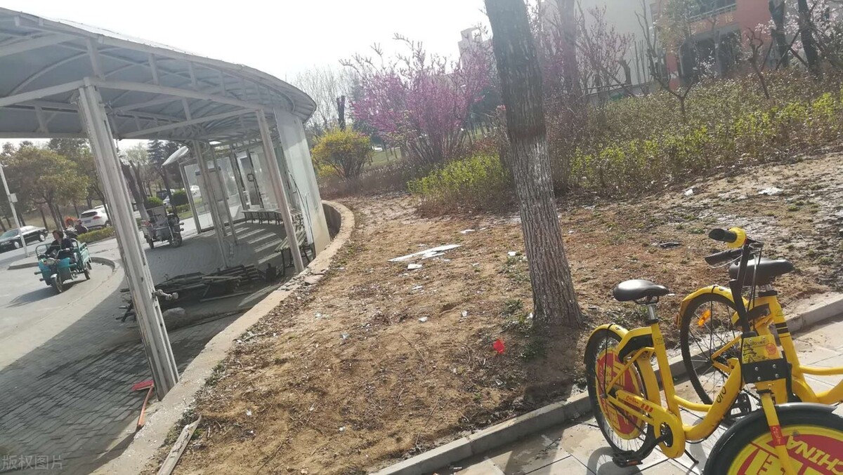 对标两电和两航，河南将组建一批新大学，学生：幸福来得太突然