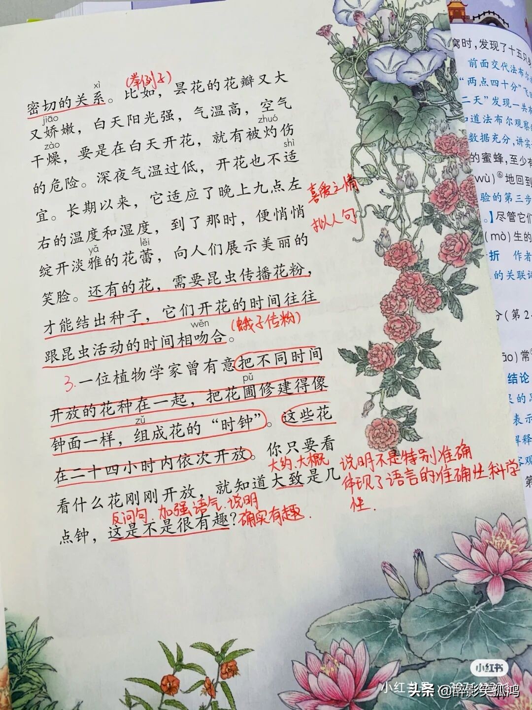 三年级语文下册第4单元课堂笔记，详细整理课文知识点