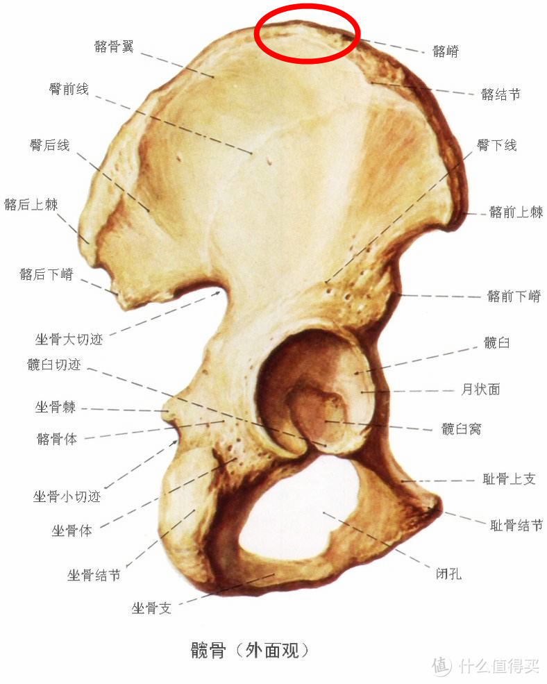 篮球鞋踩几把(关于自行车鞍座调整的一系列问题探讨)