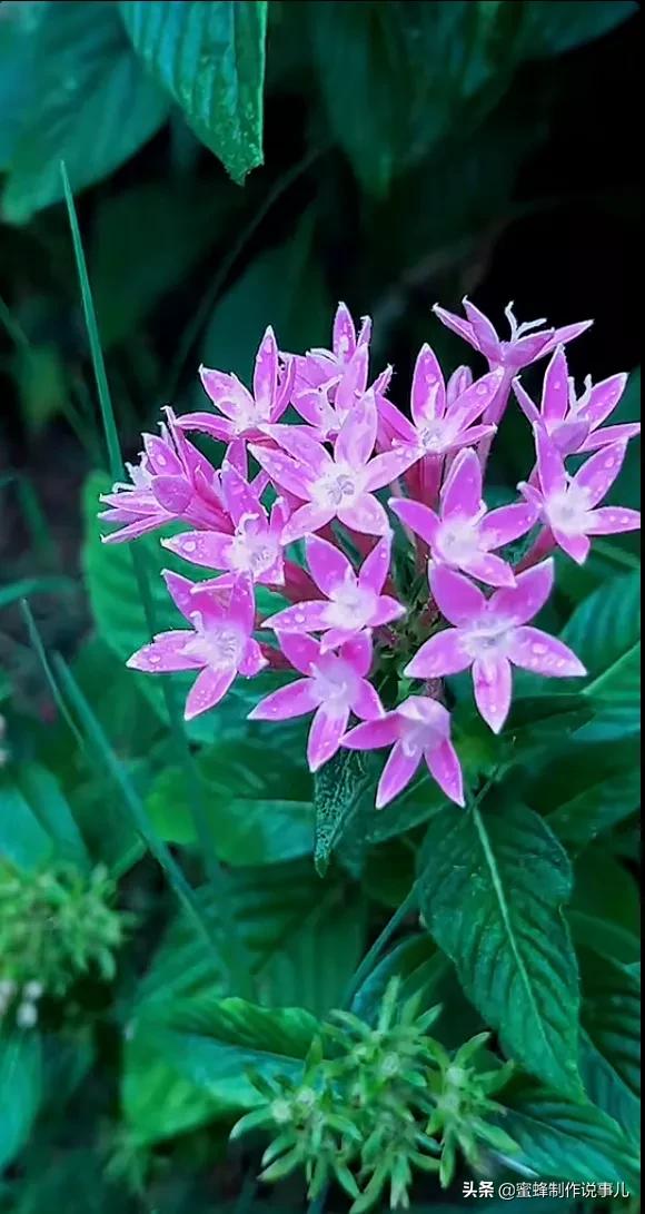 一路鲜花相伴，一路芬芳相随