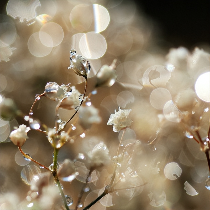 感悟生活美好的经典句子