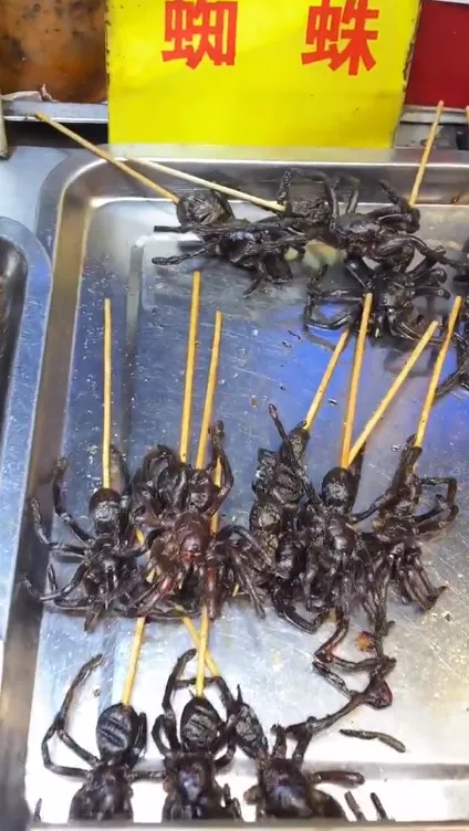 韩国大学食堂食谱也太离谱了！我家小强看到都得抢着做九菜一汤