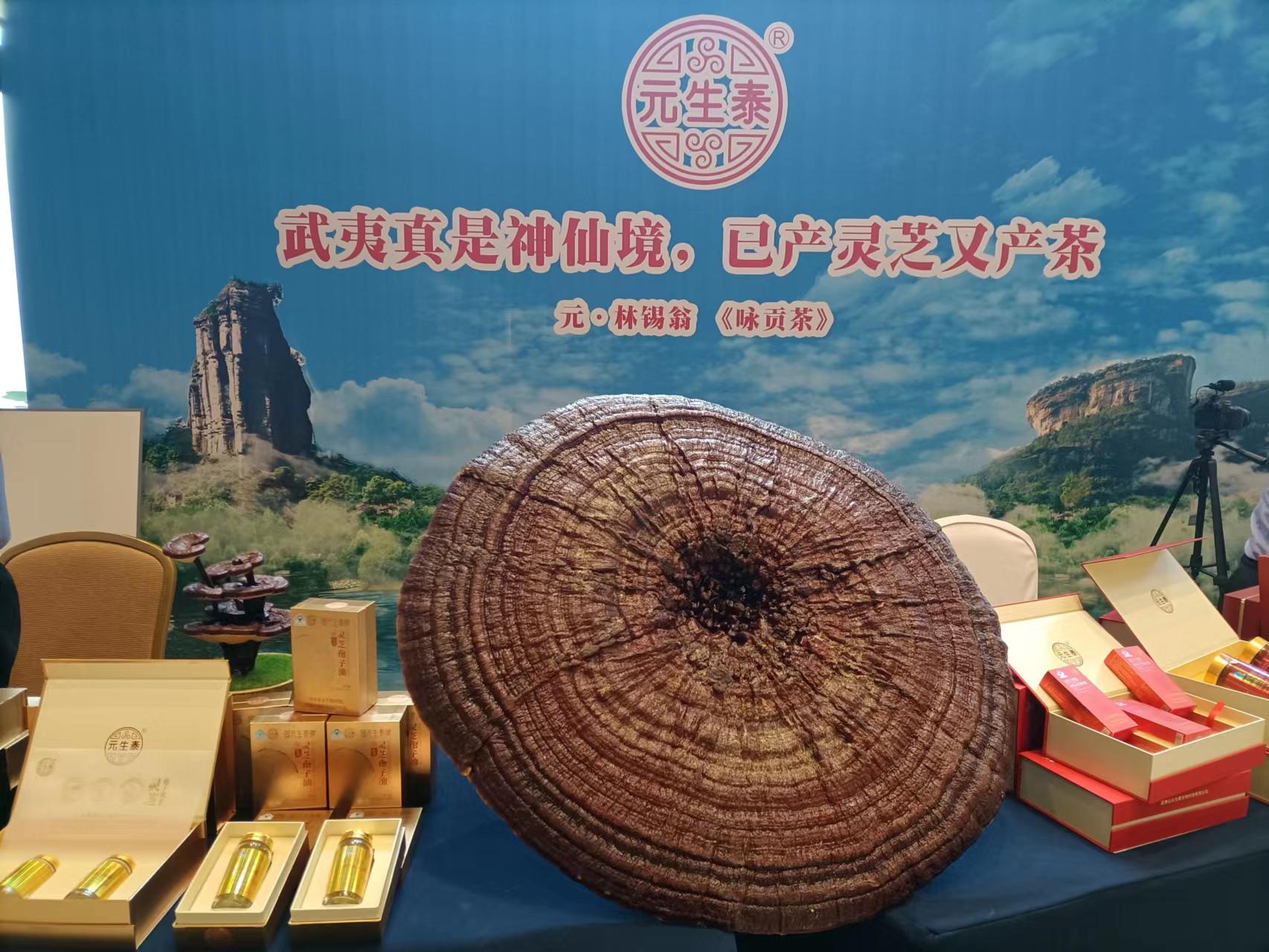 寻迹彭祖品灵芝·漫步武夷话养生——第六届武夷养生文旅节开幕