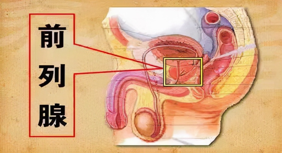 男人40歲之後如果不想被前列腺增生盯上這7件習慣要堅持