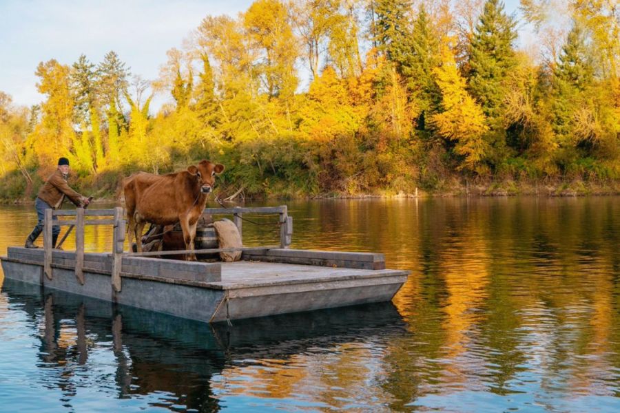 回顾影评家最青睐的十大电影（2020年），第六个华人金狮奖