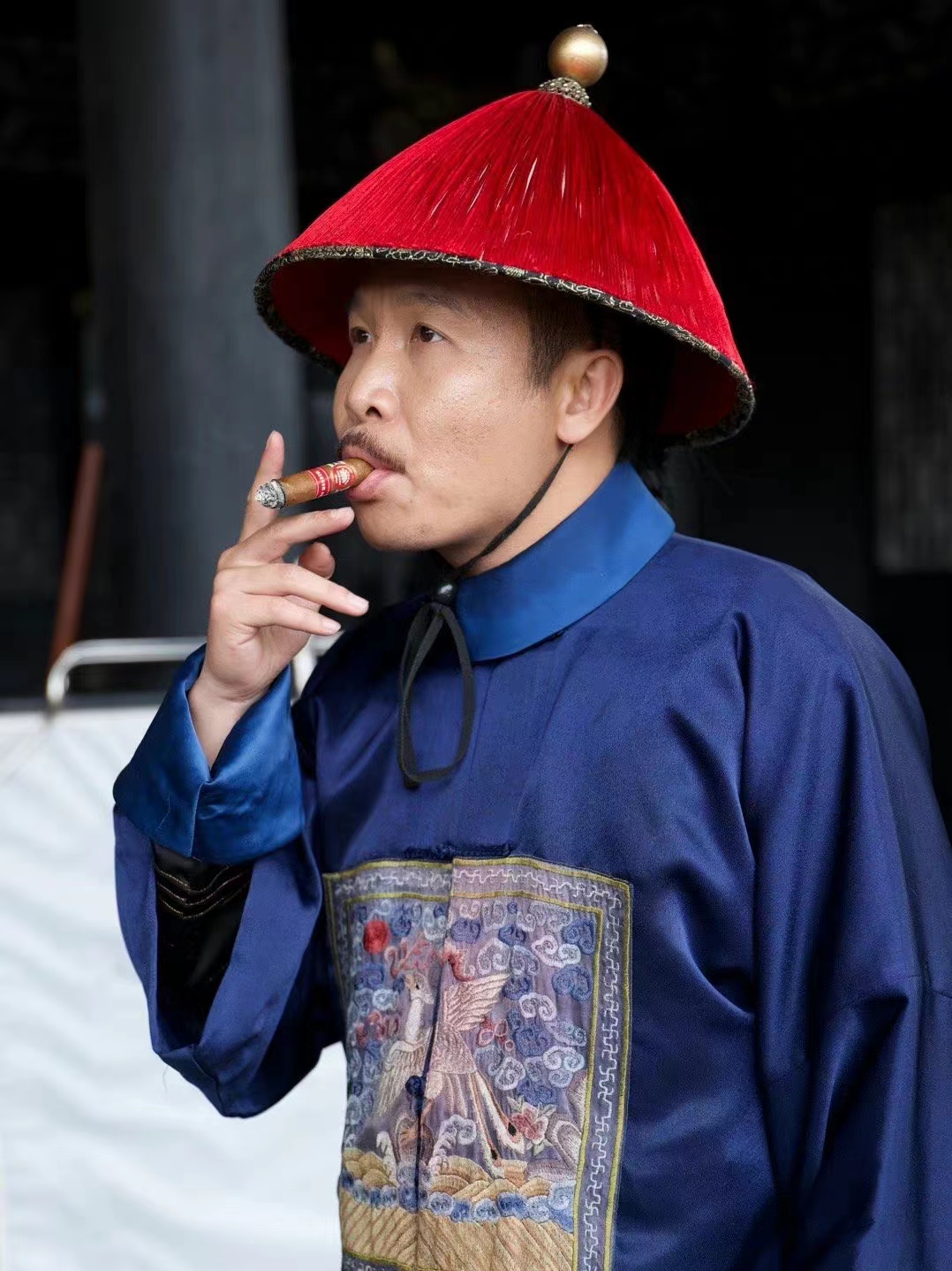 执导并参演了很多经典的网络电影和电视剧