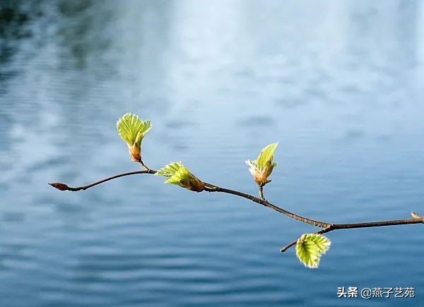 立春之日，赏最美立春诗词，开启诗情画意的一年