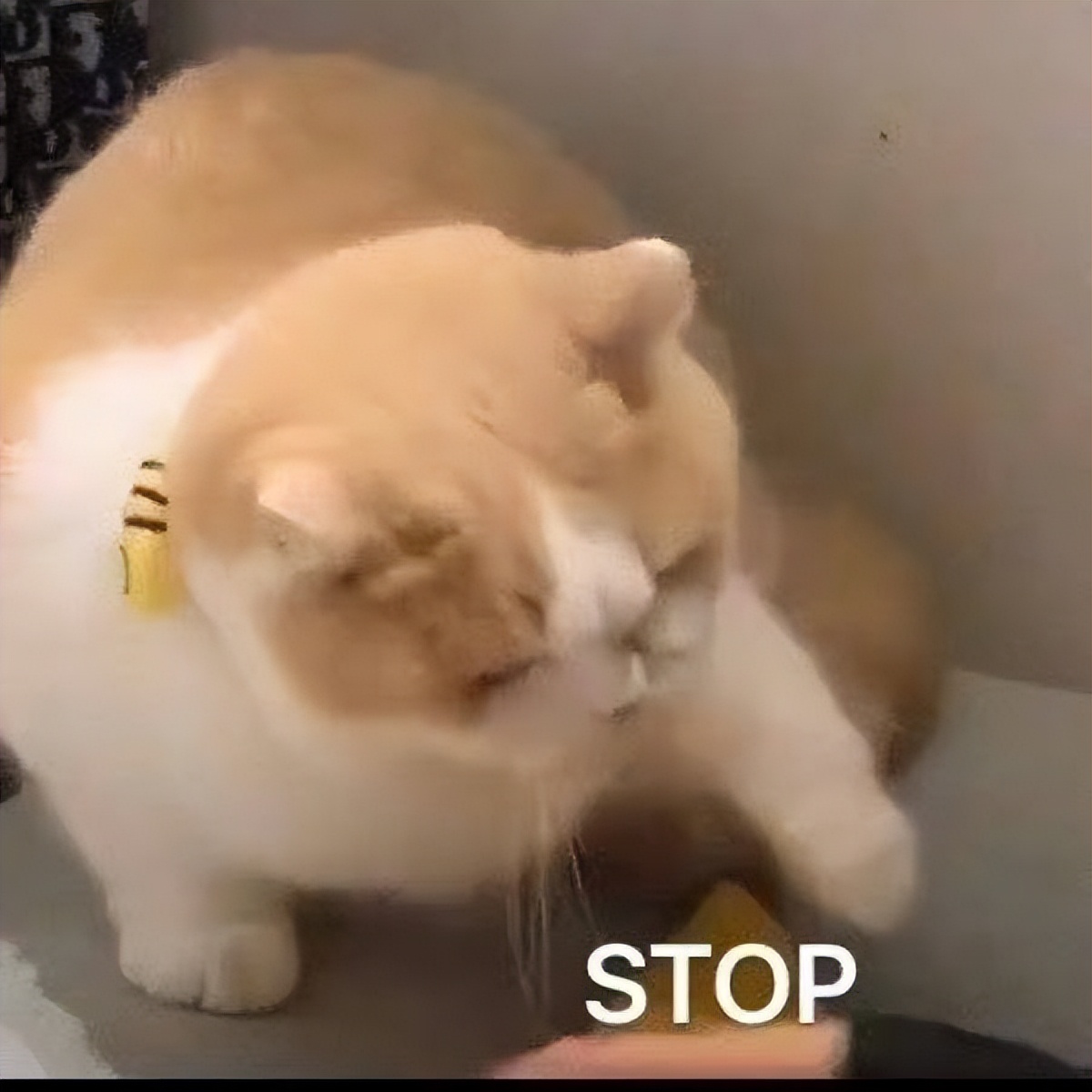 杨幂新综眼角受伤险毁容!王宝强摔断腿李晨缝22针,