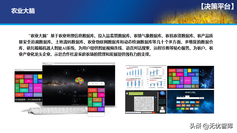 65页PPT智慧数字乡村农业大数据解决方案（附PPT全文下载）