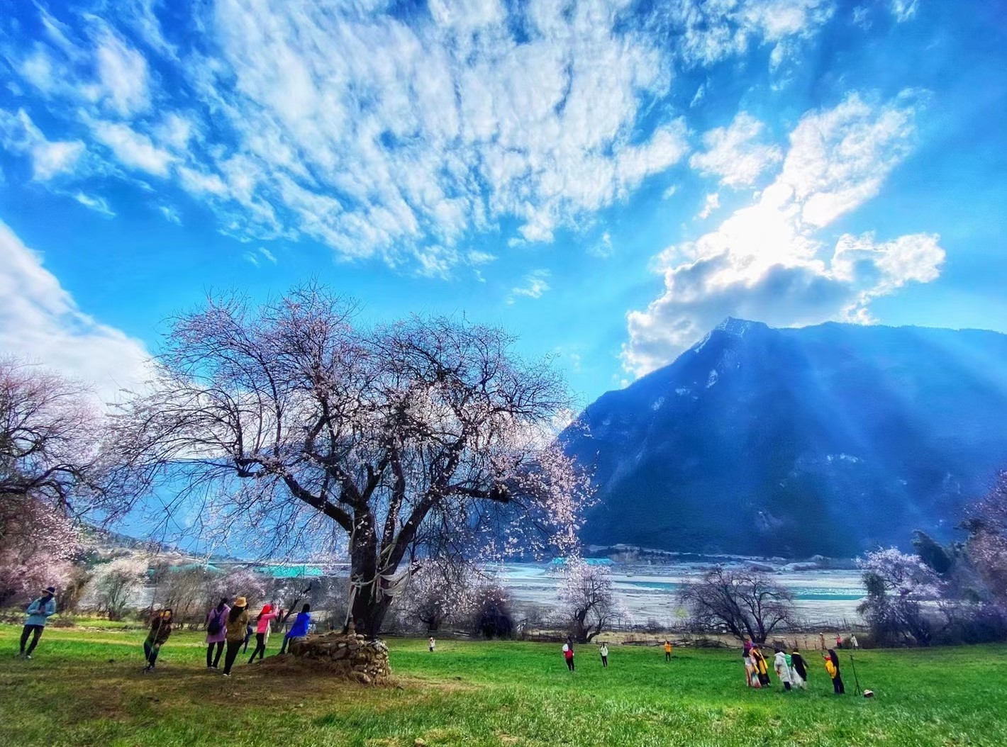 自驾西藏几月份去旅游最合适（自驾游西藏几月最好）-第3张图片-科灵网