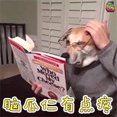 知道吗？你的学历可能是假的！教你网上查自己的学历