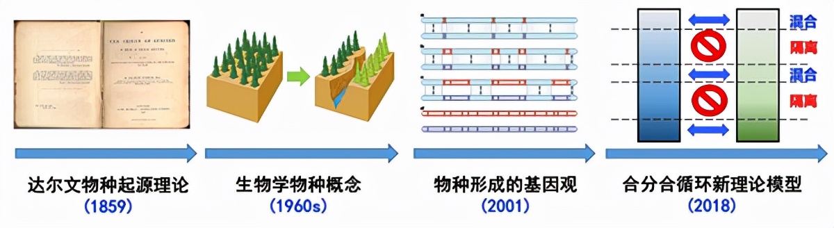 最早的人类是哪国人（我来科普一下知识）-第7张图片