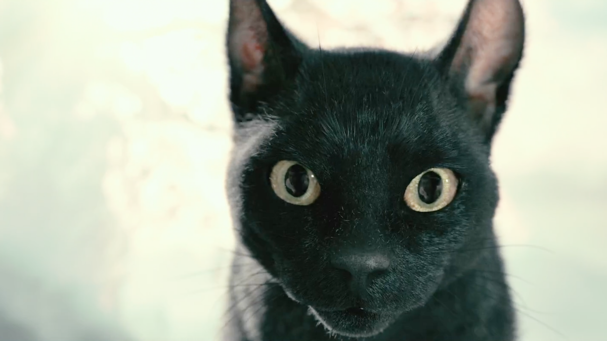《妖猫传》几秒镜头值千万，6年时间斥资10亿，最终票房令人深思