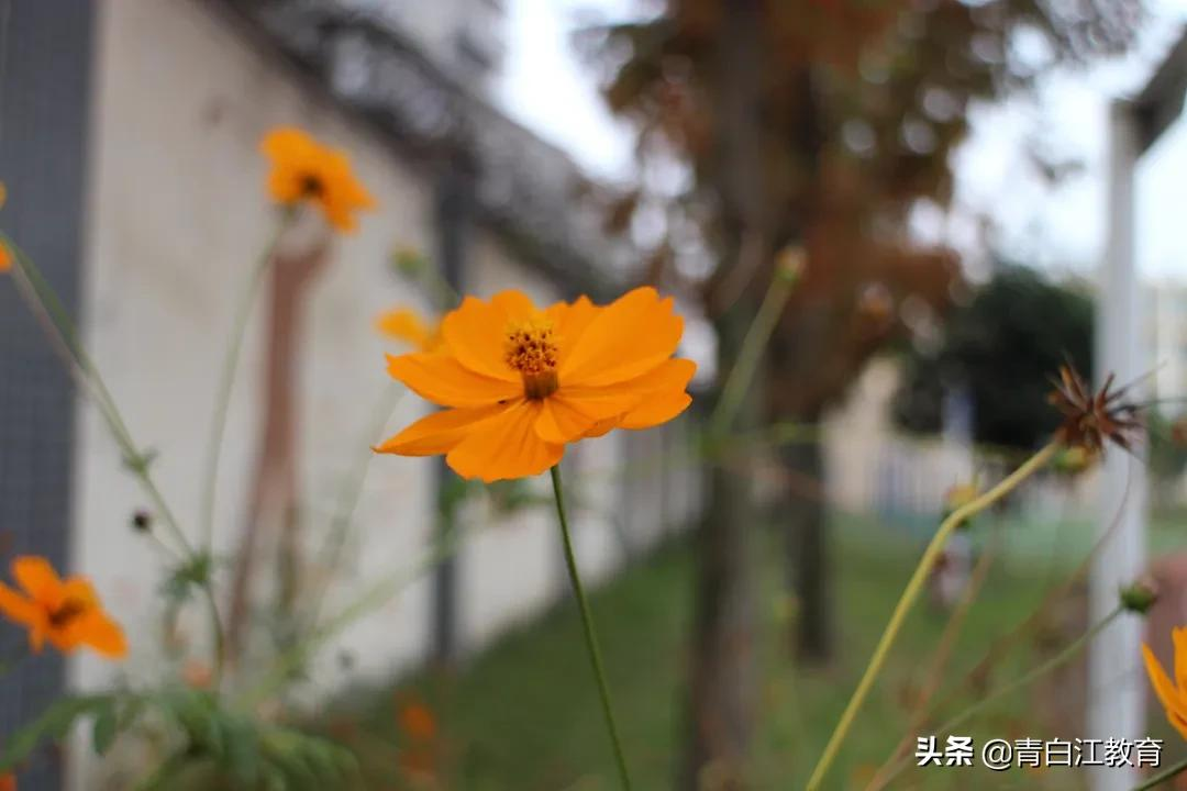 秋冬美图来袭① | 为你喜欢的校园美景投票吧