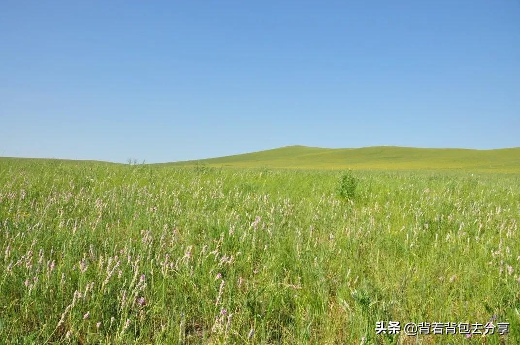 去哪里旅游好（内蒙古必游的十大景点，去过9处，才算真正的玩转内蒙古）