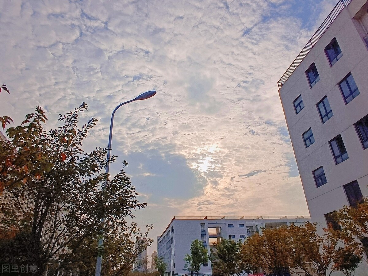 湖北理工学院继续教育学院成人高考专科本科专升本招生报名专业