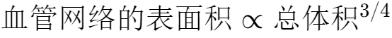 “标度律”——大自然的基本原理31