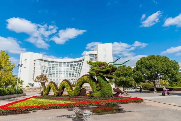 创下“中国首个”，获央视连续报道！这些女院士、女教授等，都是三八红旗手