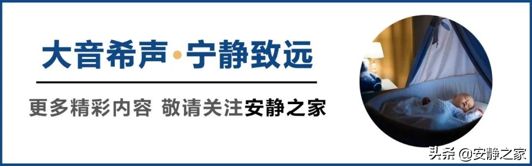 噪音与堕落：西奥多·莱辛的反噪音运动