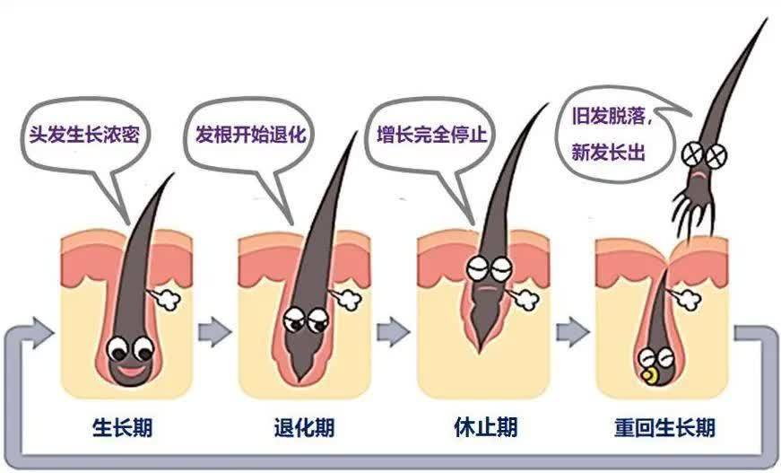 怎樣才能讓頭發長得快（如何讓頭發長得更快？）