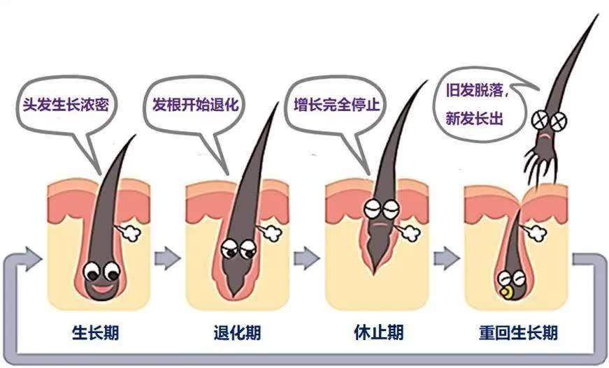 怎样才能让头发长得快（如何让头发长得更快？）