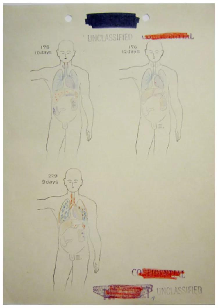 细菌的人工培养实验报告（细菌的人工培养法实验报告）-第8张图片-科灵网