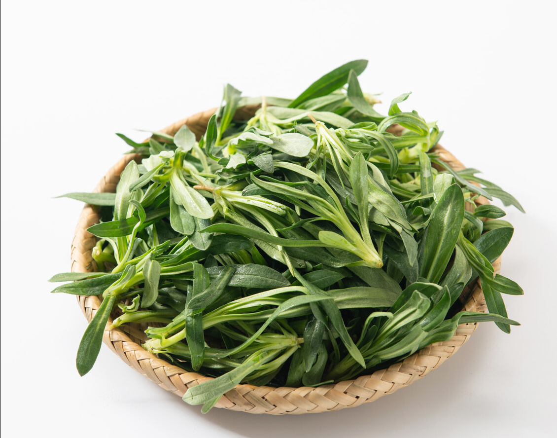 药材图片大全及名称(31种野菜大合集,带你认识不同的野菜和吃法,你