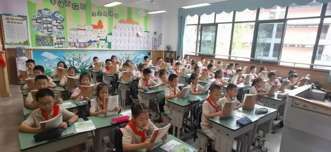 兰花喜阅读 书香润童年｜走进实验小学外国语学校书香班级3.1班