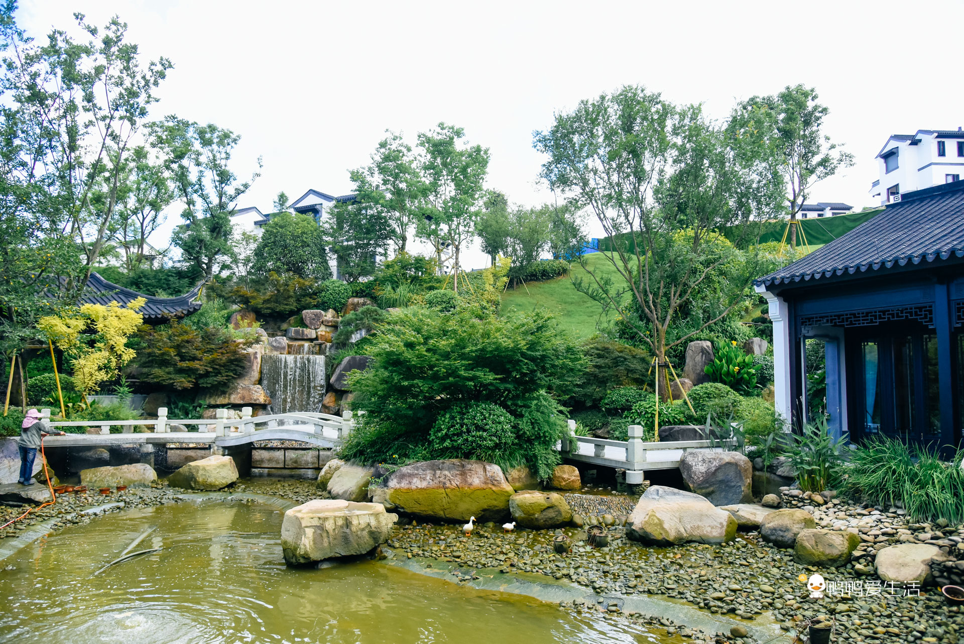 温州泰顺：住进超五星酒店泡温泉，假装在奈良逗小鹿，无比惬意