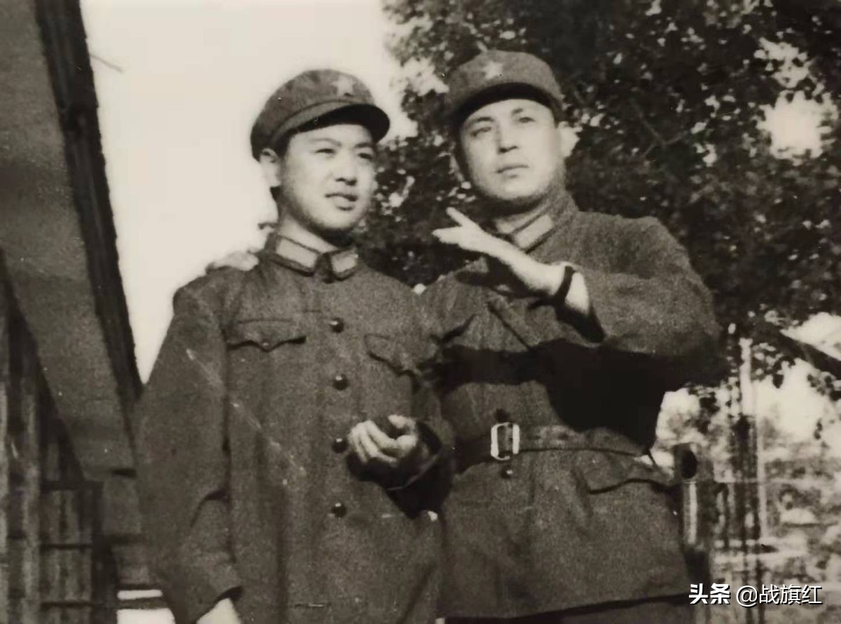 军旅文学：干部大调整，志愿兵转干，一步到位当连长