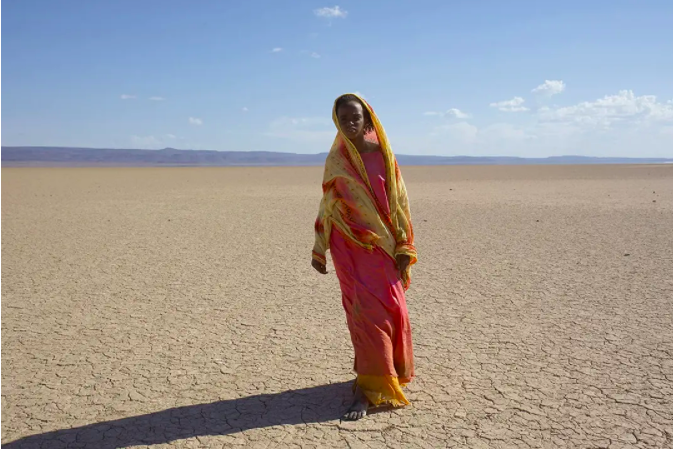 ​《沙漠之花》痛且真实：为了5头骆驼，12岁的她被许配给60岁老头