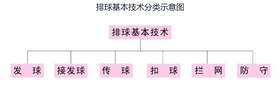 排球的基本技术哪五个(「排球技术」排球的基本技术)