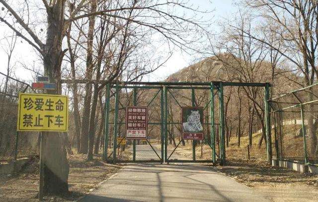 2016年八达岭老虎咬人案：母亲虎口救女儿身亡，女儿因毁容无工作