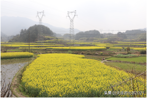 自駕游是跑高速好還是走國(guó)道好？