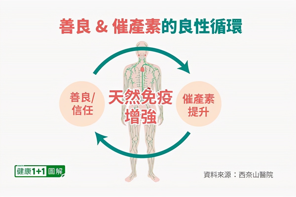 善良竟然有疗愈力！提升免疫功能、抗炎抗病毒