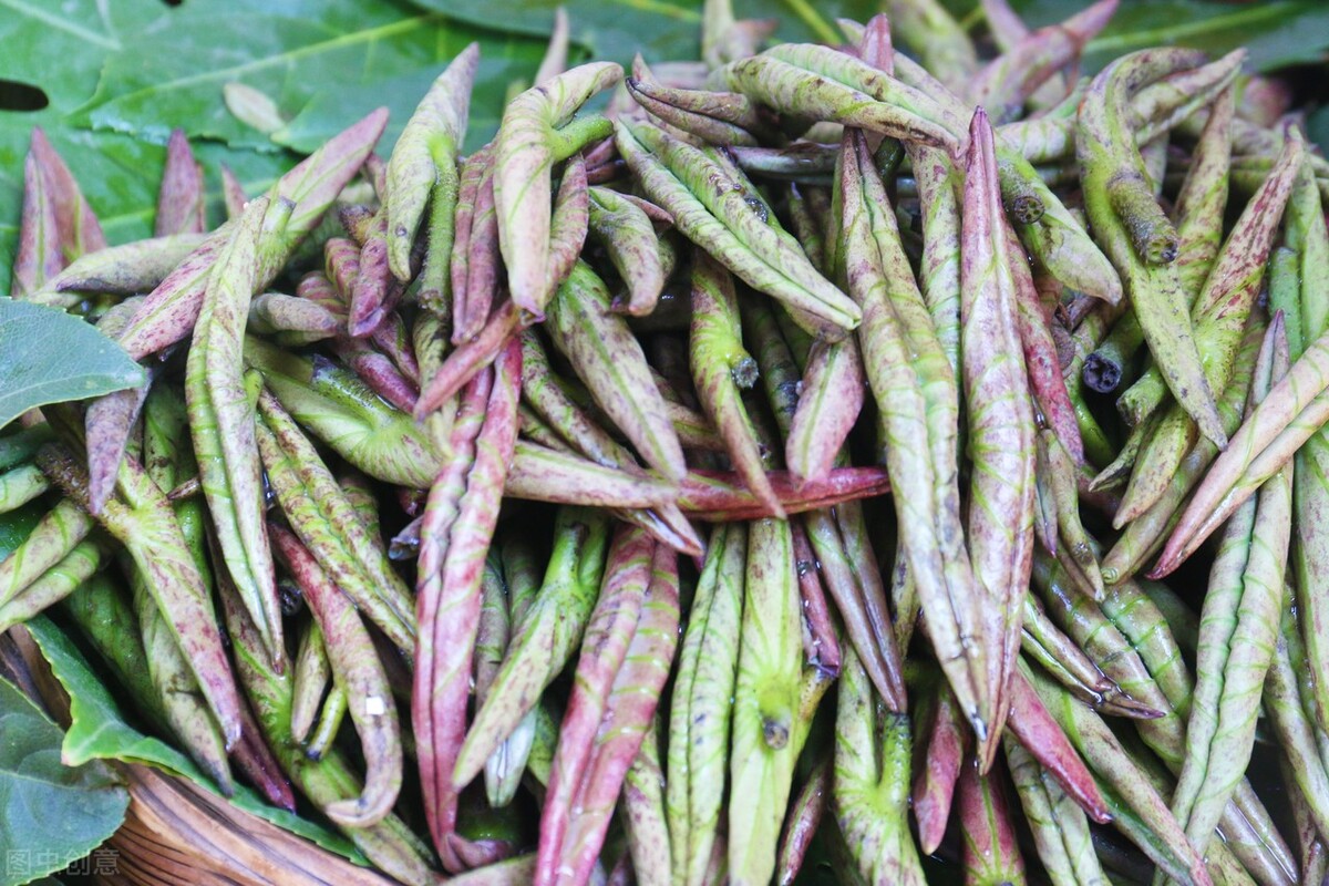 春天到了，30種野菜辨別圖片，帶你認識不同的野菜和吃法
