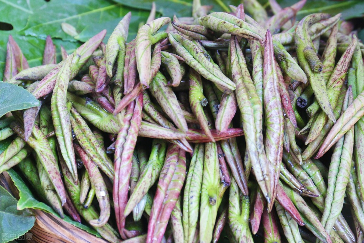 春天到了，30种野菜辨别图片，带你认识不同的野菜和吃法